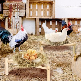 Chicken Perch for Coop & Brooder, Pine Wooden Chicken Toys & Coop Accessories for Chicken Triangular Gym Roosting Bar for Large Hens Parrots Birds, Natural Poultry Stand Chicken Nesting Support - 1P