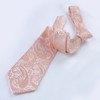 Alizeal Mens Classic Paisley Necktie with Pocket Square Handmade Floral
