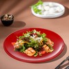 Peohud 6 Pack Melamine Plates, 11 Inches 100% Melamine Dinner