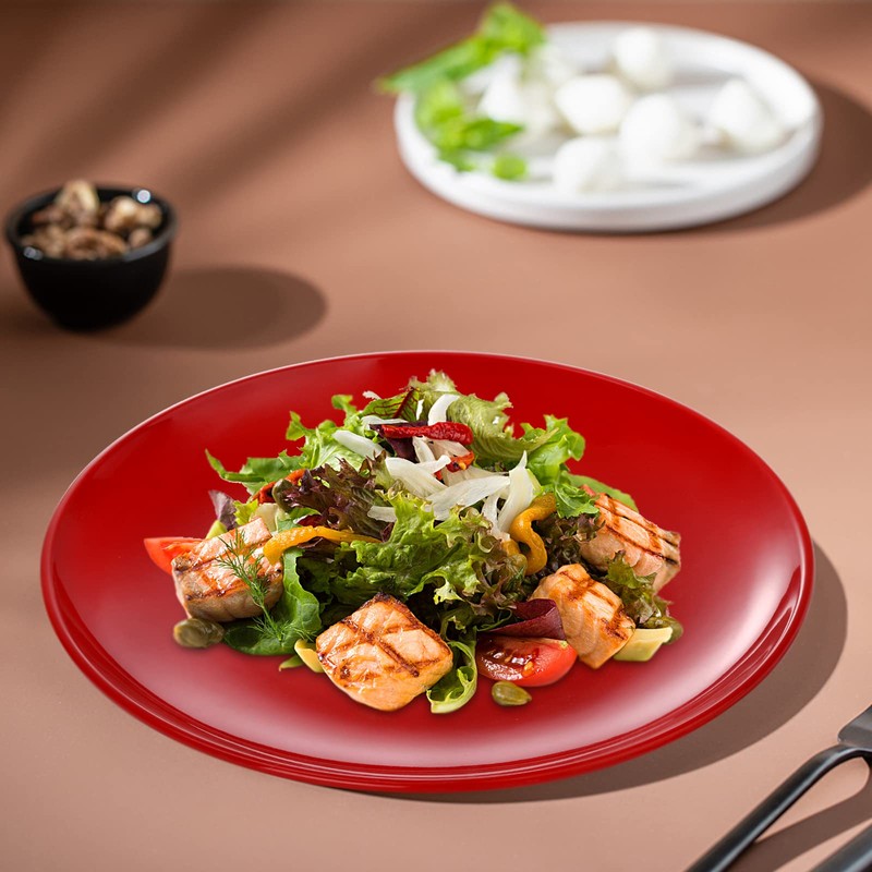 Peohud 6 Pack Melamine Plates, 11 Inches 100% Melamine Dinner