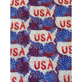 Blank Quilting BTY ONE LAND ONE FLAG BLANK QUILTING USA AMERICA MAP FIREWORKS PATRIOTIC FABRIC