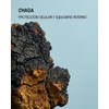 Extracto de Chaga Micelia Labs Conocido Como el "Rey de