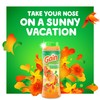 Gain Fireworks In-Wash Scent Booster, Island Fresh, 12.2 oz