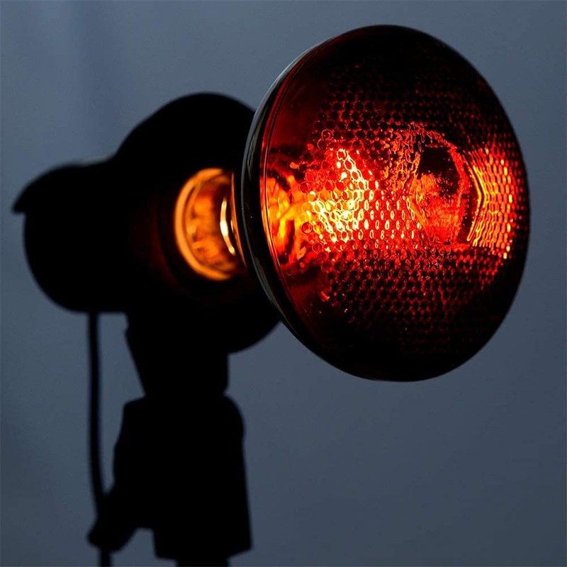 BONGBADA 2 Pack 250W Red Heat Lamp Infrared Bulbs PAR38