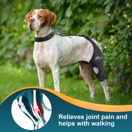 Dollephi Dog Knee Brace for Torn ACL Hind Leg, Support for Patella Dislocation or Osteoarthritis, Cruciate Ligament Injuries, Cut-Out Non-Slip Wrap Promotes Patellar Stability(Left Leg,L)
