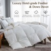 BPC Feather Down Fiber Comforter Oversized Queen for All Season,