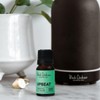 Black Chicken Remedies Essential Oil Blend - Upbeat, 9ml
