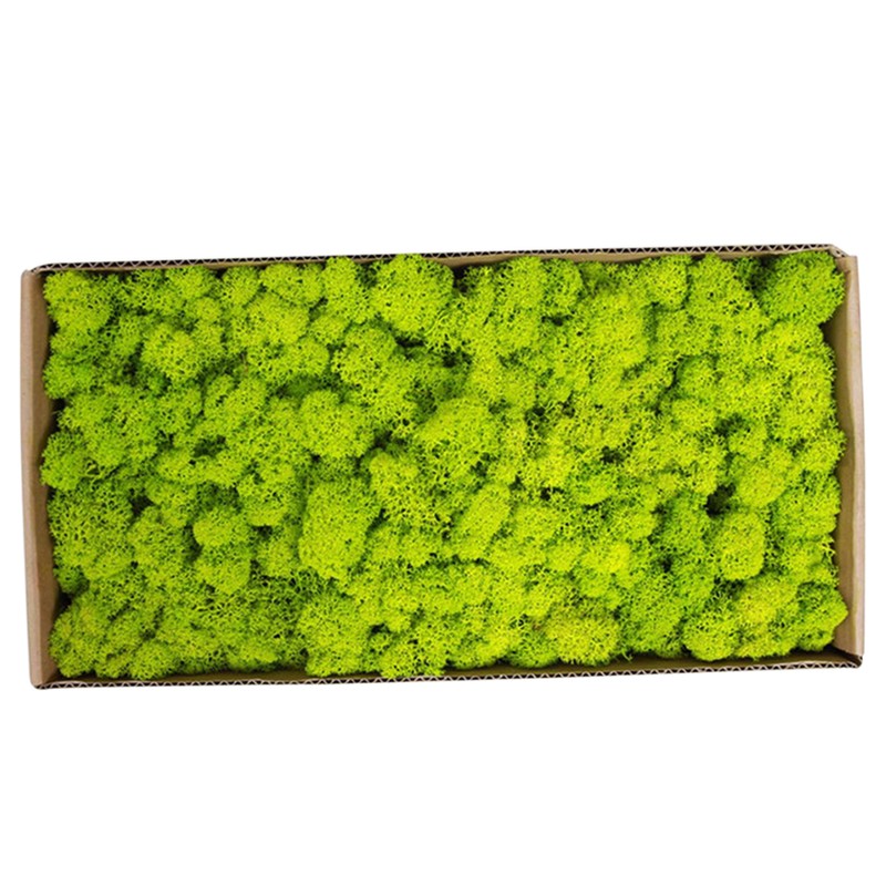 Preserved Moss Gardenning Art Wall Decor Moss Bulk Micro Landscape