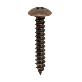 Daido Hanto Bronze Truss Head Tapping Screws, Size (Diameter: d) 3mm x (Length Below Head: L) 10mm, Pack of Approximately 38