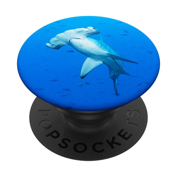 Hammer Shark in Blue Sea Ocean