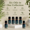 PURSONIC Pet Friendly Aromatherapy Essential Oils Collection, 6-Count - Safe