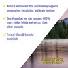 HEALTHFORCE SUPERFOODS CircuForce Brain Power - 30 VeganCaps