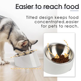 SuperDesign Mess Free 15° Slanted Bowl for Dogs and Cats, Tilted Angle Bulldog Bowl Dog Feeder, Non-Skid & Non-Spill, Easier to Reach Food M/1 Cup Gray