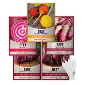 Beet Seeds for Planting Home Garden - 5 Variety Pack Detroit Dark Red, Golden Detroit, Early Wonder, Cylindria and Chioggia Great for Spring, Summer, Fall, Heirloom Veggie Seeds by Gardeners Basics