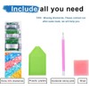 CLYCTIP Diamond Art Painting Kits, Full Drill Diamond Arts and