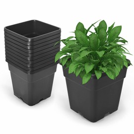 waltyotur 10PCS 3 Gallon Square Durable Planter Nursery Pots, Injection Molded Plastic Plant Container Garden Planter Pots for Indoor Outdoor Plants Flower Vegetables, Black
