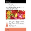Millefiori カーエアーフレッシュナーメロディーフラワー CDIF-B-006