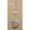 Double-Sided Silvery Nautilus Snail Shell with Iridescent Faceted Clear Glass