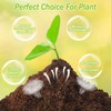 Legigo 100 Pcs 50mm Organic Coco Coir Pellets for Plants-
