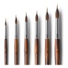 Cepillos Fuumuui Con Punta De Aguja Extendida, 6 Piezas, Cep