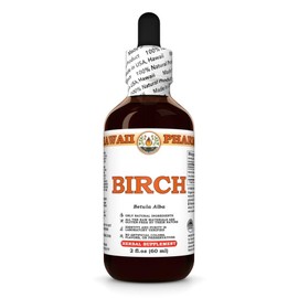 Birch (Betula Alba) Dry Bark Tincture, Made in Hawaii, All Natural, Vegan, Pure Liquid Extract - 2 fl.oz