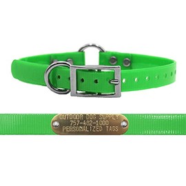 Outdoor Dog Supply's 3/4" Wide Solid Ring in Center Dog Collar Strap with Custom Brass Name Plate … (Lime Green)