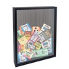 FramePro Travel Shadow Box Black 11x14 Top Loading Display Case