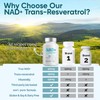 NAD+ Supplement 1000mg, 120 Count High Purity NAD+ for Cellular