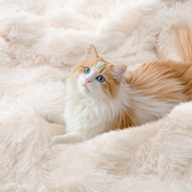 KANKAEU Faux Fur Throw Blanket Twin Size 60''x80'', Cream Throw Blanket for Couch, Reversible Soft Blankets and Throws, Fuzzy Plush Fluffy Blanket for Bed Sofa