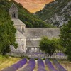 Provence, France, Lavender Fields (Absorbent Ceramic Coaster, Single, Cork Back,
