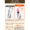 【鍼灸整体師監修】肋骨 くびれ 姿勢 サポーター 薄くて軽い apprecia あばら 調節ベルト 背骨ボーン STYLE