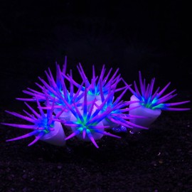 ZtohPyo Glowing Effect Soft Anemone Aquarium Fish Tank Decorations, Silicone Glow in The Dark Ornament Plants for Aquarium Decor,Small Fish Bowl Decor Accessories