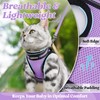 rabbitgoo Cat Harness and Leash Set for Walking Escape Proof,