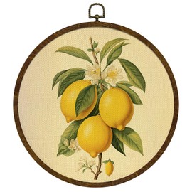 Vintage Lemon Round Wall Art Decor, Retro Fruit Framed Canvas Prints Artwork, Rustic Neutual Wall Hanging Door Decor for Bedroom,Living room,or Kitchen 10x10in (BY0630)