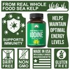Raw Whole Food Iodine Supplement from Organic Kelp (Ascophyllum Nodosum)