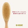 GB Kent Oval Style Hair Brush LS7 