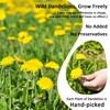 T'SMOMENT Diente de Leon (Whole Dandelion)- 4 oz Wild Dandelion