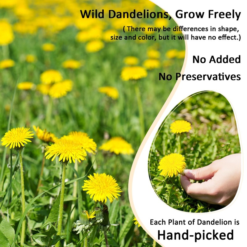 T'SMOMENT Diente de Leon (Whole Dandelion)- 4 oz Wild Dandelion
