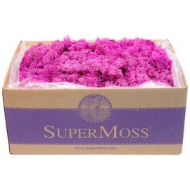 SuperMoss (23099) Reindeer Moss Preserved Box, 3 lb, Pink