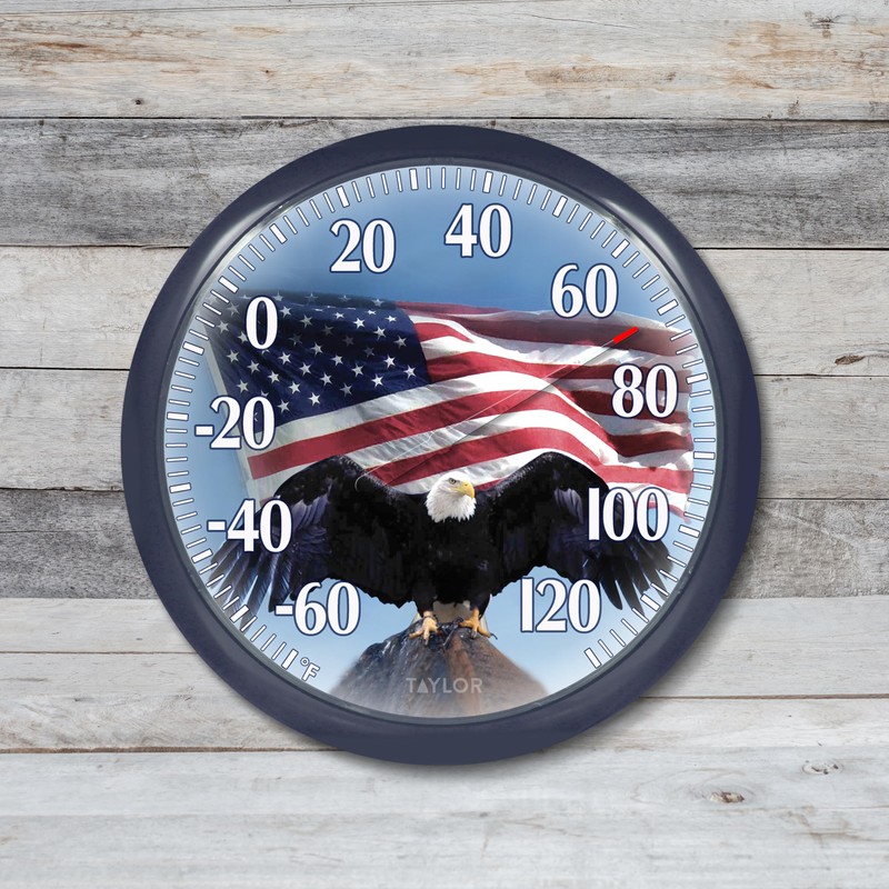Taylor Bald Eagle Indoor Outdoor Dial Thermometer, Easy to Read