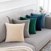 Douceur De Plumes Set of 2 Velvet Cushion Covers 40