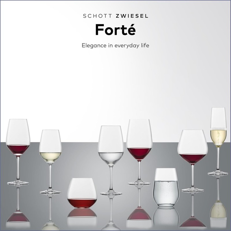 SCHOTT ZWIESEL Forté All Purpose Glass 15 Ounce (Set of