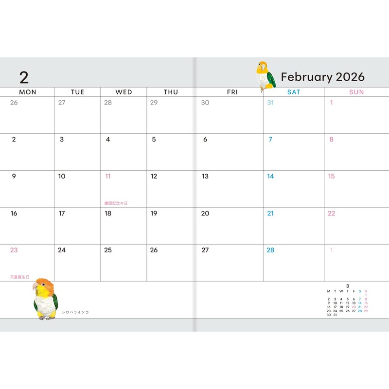 Notebook, Diary 2026, Take Art, Starts from December, A6, Cover