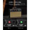 POGOLAB Guitar Amplifier Small Mini Amplifier 10W Practice Electric Guitar