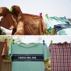 Soft Grip Clothes Pegs for Washing Line Strong & Durable