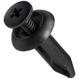 DORMAN 961050 1/4" Nylon Rivet