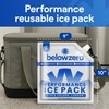 Below Zero Ice Packs - You Fill Medium 10x9x0.75 Inch