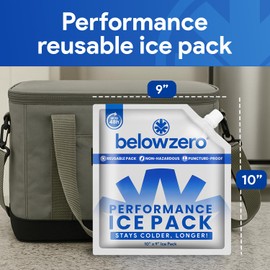Below Zero Ice Packs - You Fill Medium 10x9x0.75 Inch (4 Pack) - Custom Fill & Freeze Cooler Packs for Lunch Boxes, Travel, and Outdoor Use - Leak-Proof & Reusable