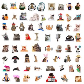 66Pcs Funny Cat Stickers for Kids Teens Adults Boys Girls Gift,Stickers Pack for Laptop,Skateboard Luggage Car Bike Cup Computer Water Bottle Decor,Cat Meme Vinyl Waterproof Sticker Decal