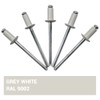 Marcopol Pack of 100 Painted Blind Rivets 3.2 x 8